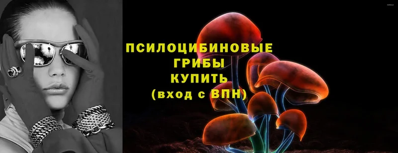 Псилоцибиновые грибы мухоморы  цены наркотик  блэк спрут рабочий сайт  Каргат 